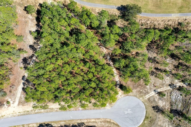Freeport, Florida 32439, ,Land,For Sale,Drifted Sand,865440