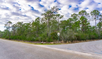 Milton, Florida 32583, ,Land,For Sale,Bonfire,865452