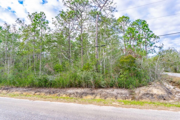 Milton, Florida 32583, ,Land,For Sale,Bonfire,865452