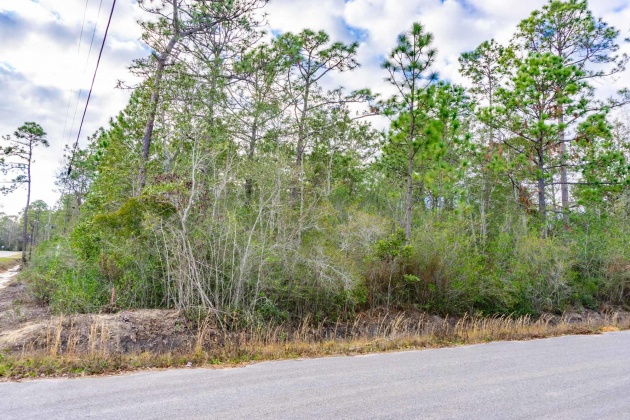 Milton, Florida 32583, ,Land,For Sale,Bonfire,865452