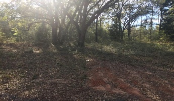 Ponce De Leon, Florida 32455, ,Land,For Sale,Shaver,865467