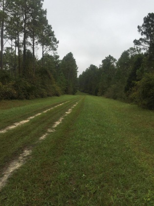 Bonifay, Florida 32425, ,Land,For Sale,Hawthorne Rd,865594
