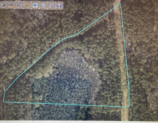 Bonifay, Florida 32425, ,Land,For Sale,Hawthorne Rd,865594