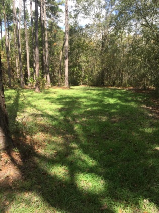 Bonifay, Florida 32425, ,Land,For Sale,Hawthorne Rd,865594