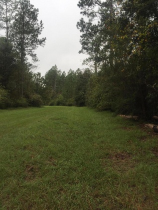 Bonifay, Florida 32425, ,Land,For Sale,Hawthorne Rd,865594