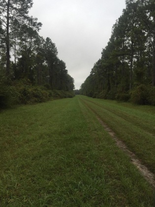 Bonifay, Florida 32425, ,Land,For Sale,Hawthorne Rd,865594