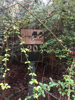 Bonifay, Florida 32425, ,Land,For Sale,Hawthorne Rd,865594