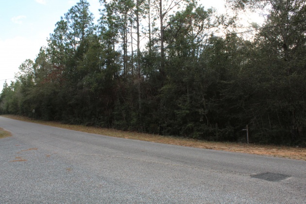 Crestview, Florida 32539, ,Land,For Sale,Donald Guy,865650