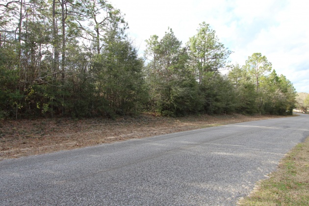 Crestview, Florida 32539, ,Land,For Sale,Donald Guy,865650