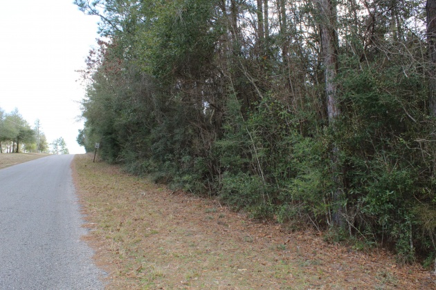 Crestview, Florida 32539, ,Land,For Sale,Donald Guy,865650