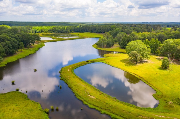 Jay, Florida 32565, ,Land,For Sale,Wells Pond,865733