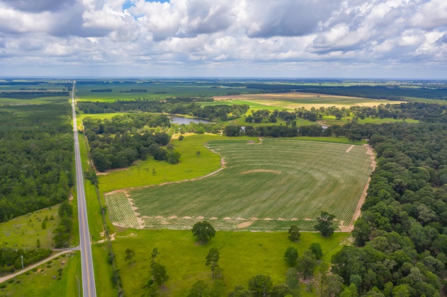 Jay, Florida 32565, ,Land,For Sale,Wells Pond,865733