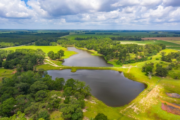 Jay, Florida 32565, ,Land,For Sale,Wells Pond,865733