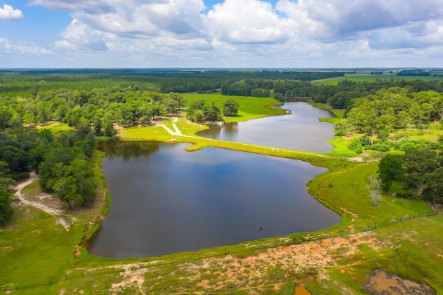 Jay, Florida 32565, ,Land,For Sale,Wells Pond,865733