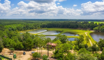 Jay, Florida 32565, ,Land,For Sale,Wells Pond,865733