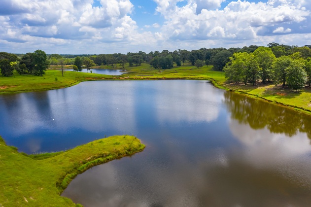 Jay, Florida 32565, ,Land,For Sale,Wells Pond,865733