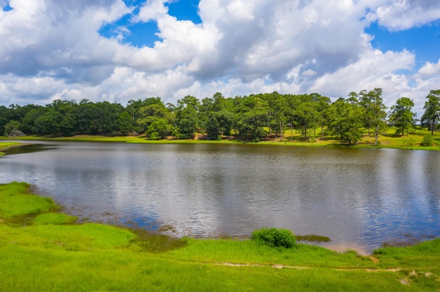 Jay, Florida 32565, ,Land,For Sale,Wells Pond,865733