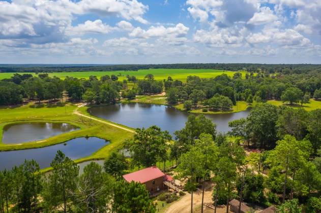 Jay, Florida 32565, ,Land,For Sale,Wells Pond,865733