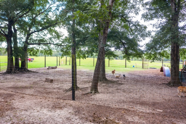 Jay, Florida 32565, ,Land,For Sale,Wells Pond,865733