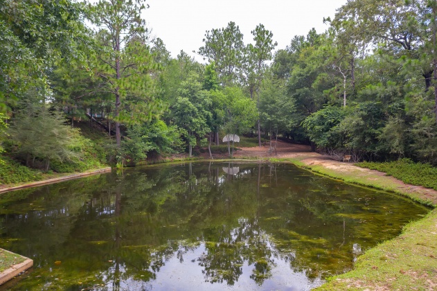 Jay, Florida 32565, ,Land,For Sale,Wells Pond,865733