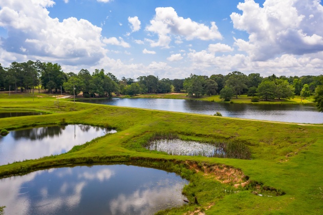 Jay, Florida 32565, ,Land,For Sale,Wells Pond,865733