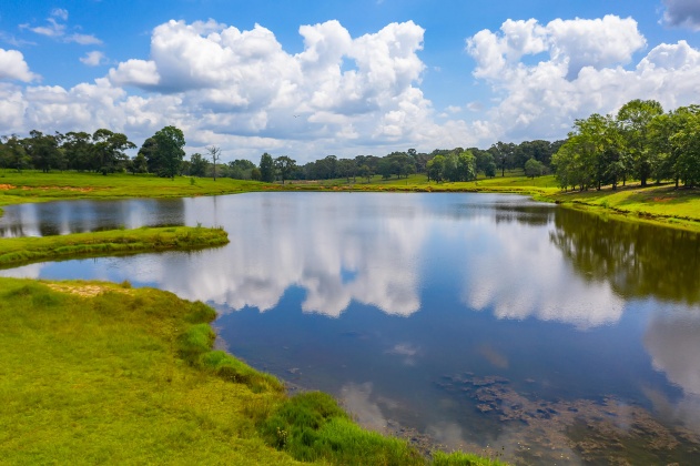 Jay, Florida 32565, ,Land,For Sale,Wells Pond,865733