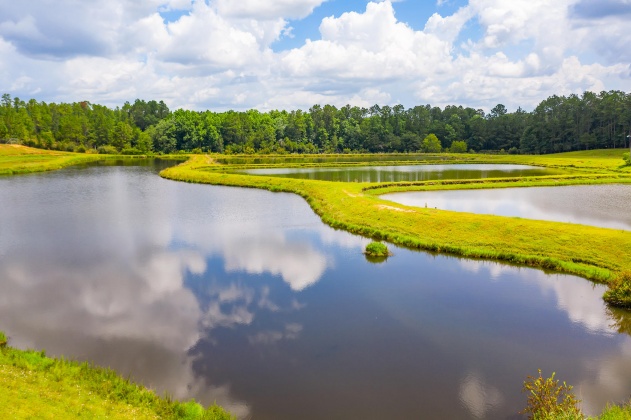 Jay, Florida 32565, ,Land,For Sale,Wells Pond,865733