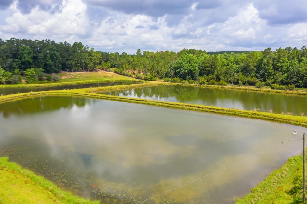 Jay, Florida 32565, ,Land,For Sale,Wells Pond,865733