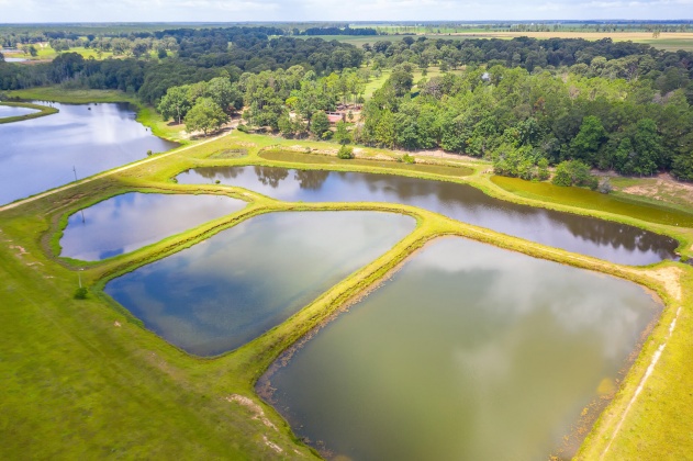 Jay, Florida 32565, ,Land,For Sale,Wells Pond,865733