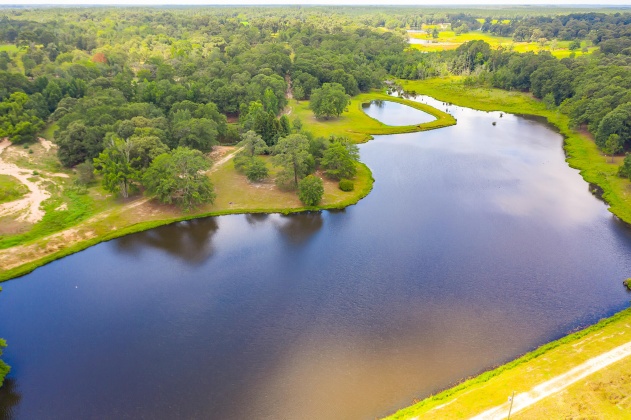 Jay, Florida 32565, ,Land,For Sale,Wells Pond,865733