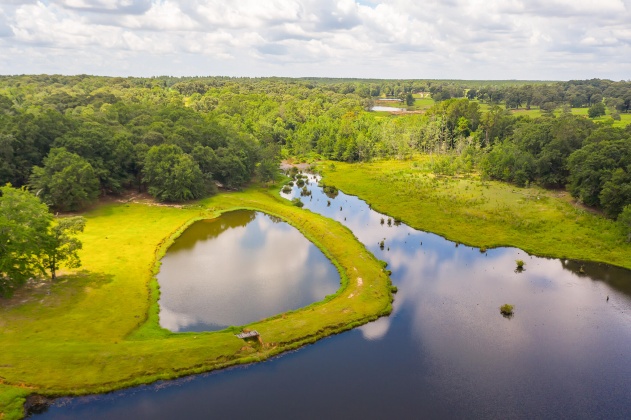 Jay, Florida 32565, ,Land,For Sale,Wells Pond,865733