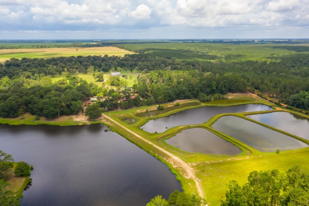 Jay, Florida 32565, ,Land,For Sale,Wells Pond,865733