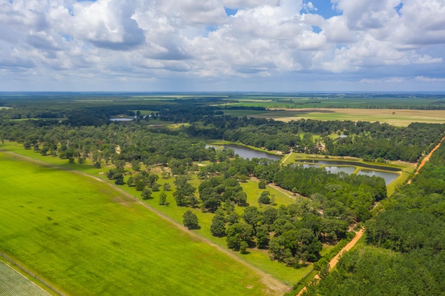 Jay, Florida 32565, ,Land,For Sale,Wells Pond,865733