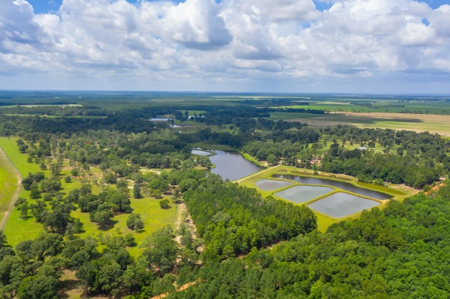 Jay, Florida 32565, ,Land,For Sale,Wells Pond,865733