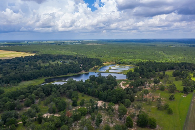 Jay, Florida 32565, ,Land,For Sale,Wells Pond,865733