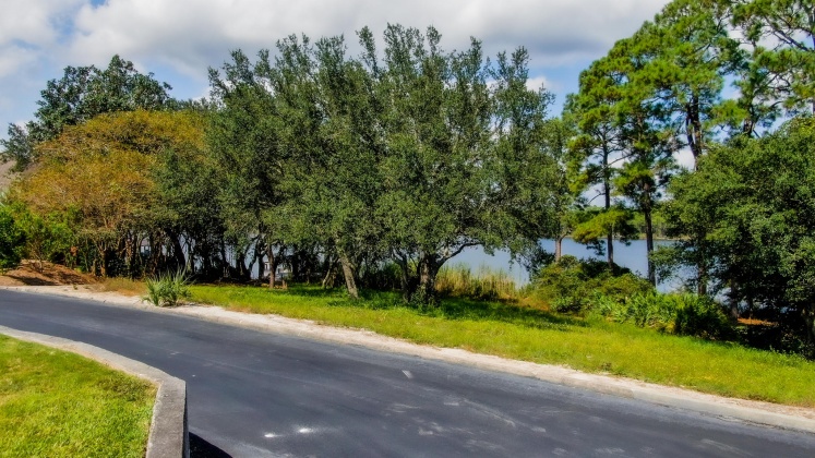 Panama City Beach, Florida 32413, ,Land,For Sale,Blue Crab,856422