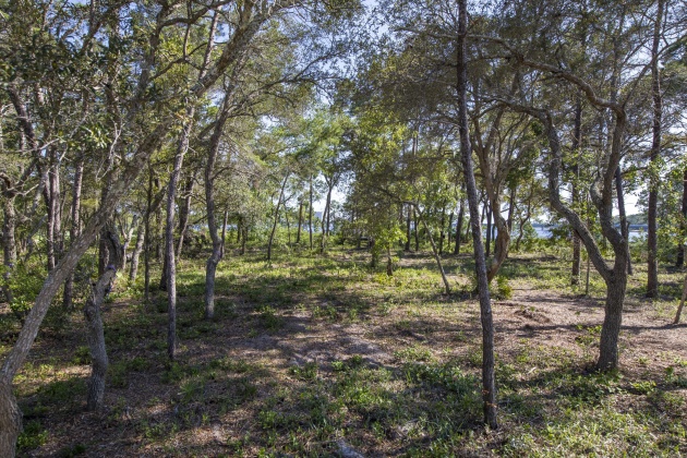 Panama City Beach, Florida 32413, ,Land,For Sale,Los Ninos,865813