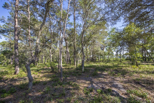 Panama City Beach, Florida 32413, ,Land,For Sale,Los Ninos,865813