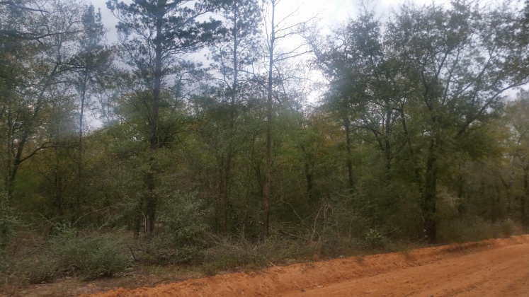Defuniak Springs, Florida 32433, ,Land,For Sale,Nowling Road,865731