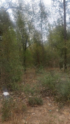 Defuniak Springs, Florida 32433, ,Land,For Sale,Nowling Road,865731