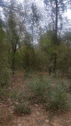 Defuniak Springs, Florida 32433, ,Land,For Sale,Nowling Road,865731