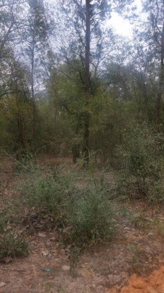 Defuniak Springs, Florida 32433, ,Land,For Sale,Nowling Road,865731