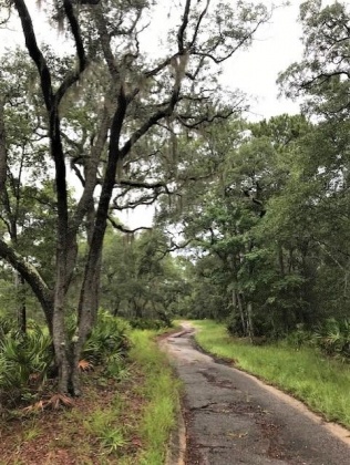 Freeport, Florida 32439, ,Land,For Sale,CROSS CREEK,830934