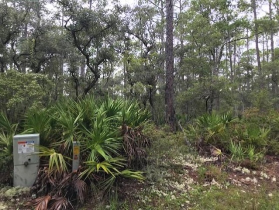 Freeport, Florida 32439, ,Land,For Sale,CROSS CREEK,830934