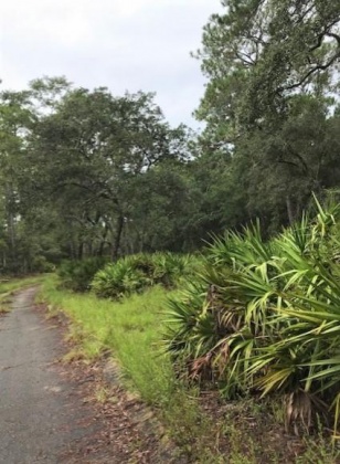 Freeport, Florida 32439, ,Land,For Sale,CROSS CREEK,830934
