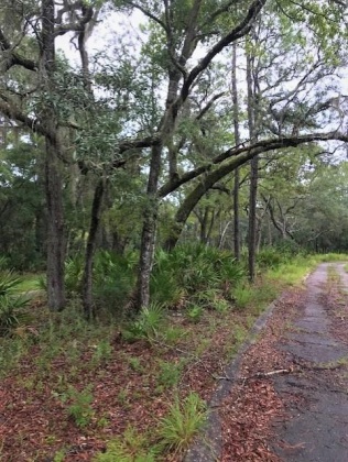 Freeport, Florida 32439, ,Land,For Sale,CROSS CREEK,830934