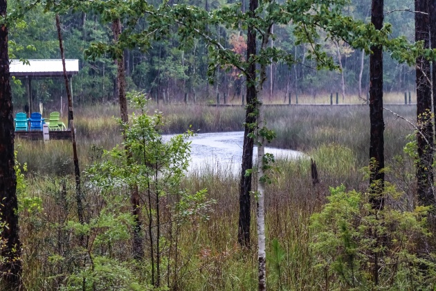 Santa Rosa Beach, Florida 32459, ,Land,For Sale,Turtle Creek,853912