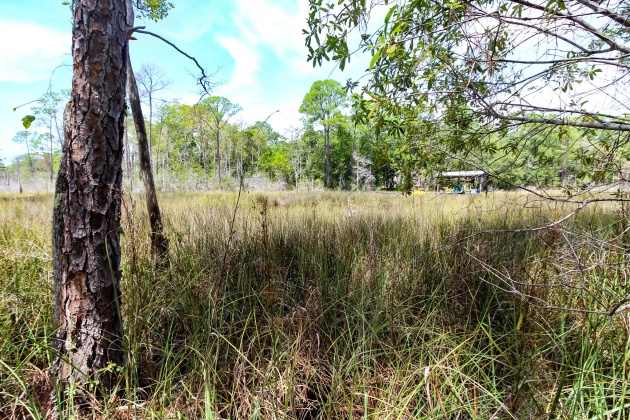Santa Rosa Beach, Florida 32459, ,Land,For Sale,Turtle Creek,853912
