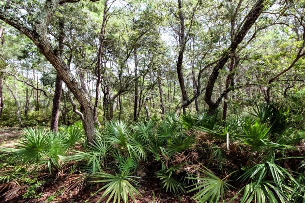 Santa Rosa Beach, Florida 32459, ,Land,For Sale,Turtle Creek,853912