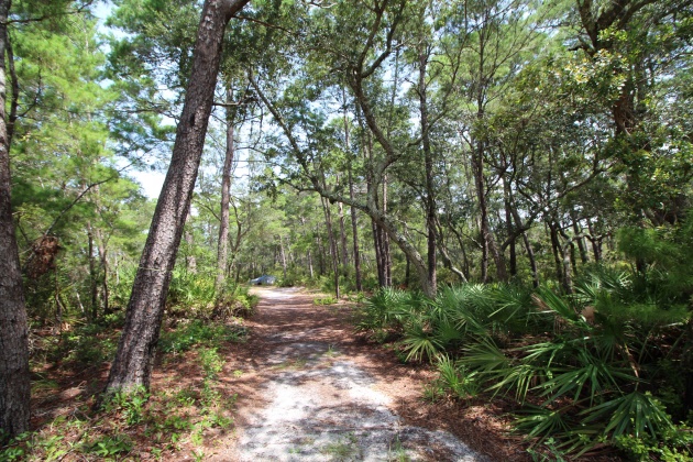 Santa Rosa Beach, Florida 32459, ,Land,For Sale,Turtle Creek,853912